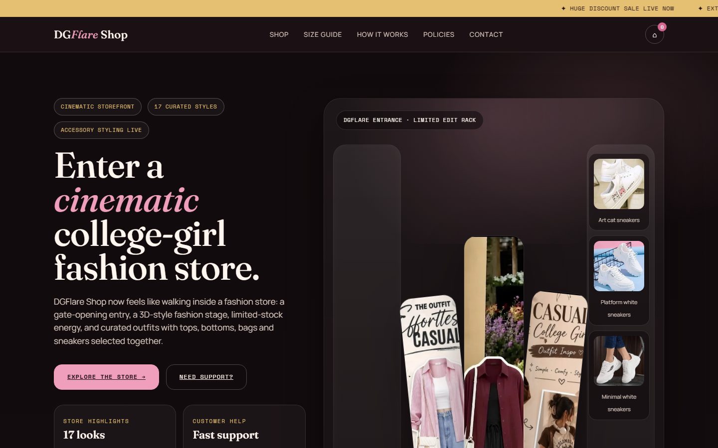 DGFlare Shop case study screenshot